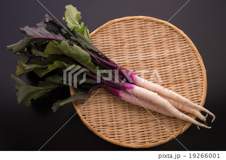 日野菜かぶ 19266001