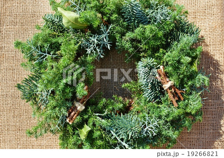 ヒムロスギのリース 19266821