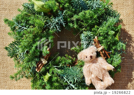 ヒムロスギのリースとテディベア ヒムロスギのリースとテディベア 19266822