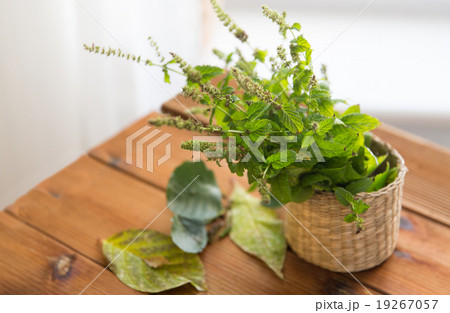 close up of melissa in basket on wooden table 19267057