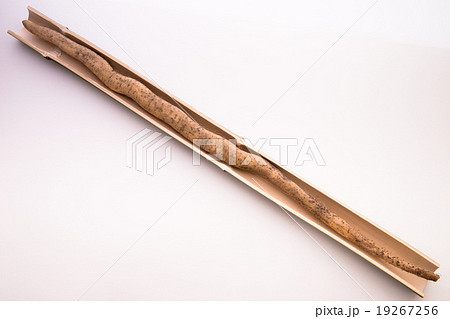 自然薯 自然薯 19267256