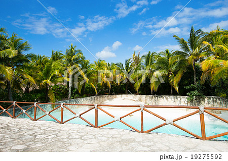 tropical beach 19275592