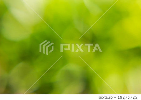green bokeh abstract light blur background green bokeh abstract light blur background 19275725