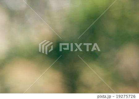 green bokeh abstract light blur background 19275726