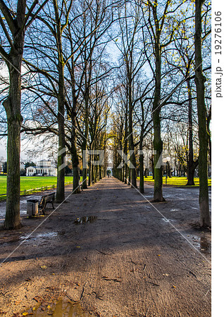 ボンの公園 19276106