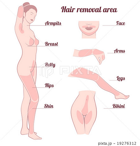 area hair removal 19276312