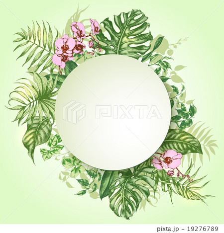 Tropical Plants Frame. 19276789