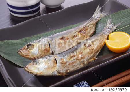 鰯と日本酒 19276979