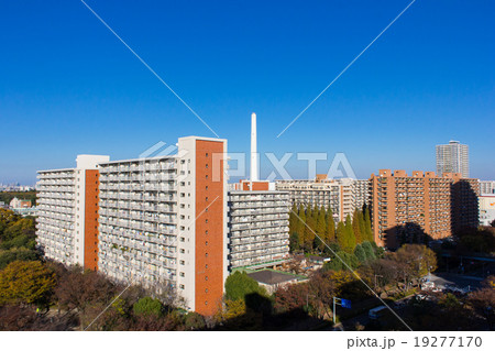 晩秋の光が丘団地 19277170