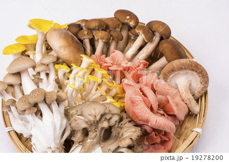 ザルの上のキノコの盛り合わせ ザルの上のキノコの盛り合わせ 19278200