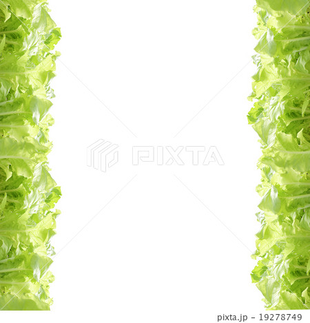 agricultural 19278749