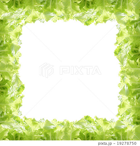 agricultural 19278750