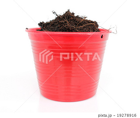 tree pot 19278916
