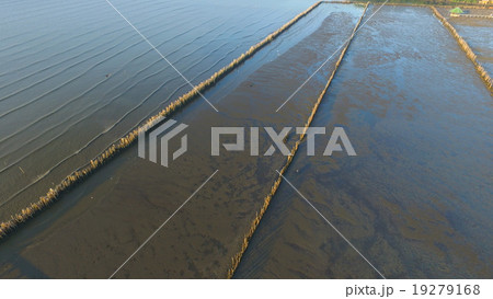 forrest topview 19279168