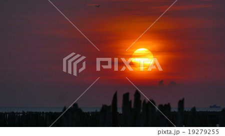 sunset 19279255