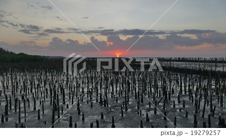sunset 19279257
