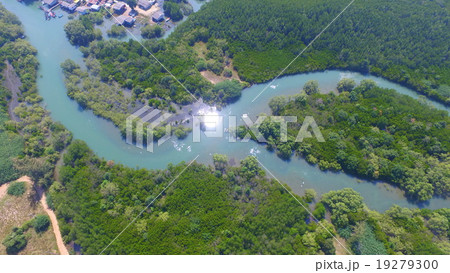 forrest topview 19279300