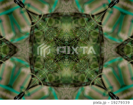 Green abstract kaleidoscope background Green abstract kaleidoscope background 19279339