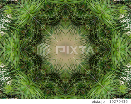 Green abstract kaleidoscope background 19279436