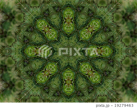Green abstract kaleidoscope background 19279463
