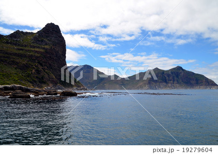 ケープタウンのボールダーズ・ビーチ 19279604