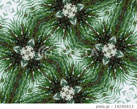 Green abstract kaleidoscope background 19280813