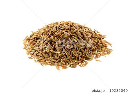 クミンシード クミンシード 19282049