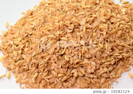 もみがら もみがら 19282124