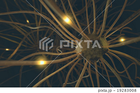 Neurons Concept 19283008