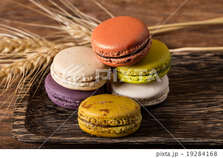 Macaron or Gerber 19284168