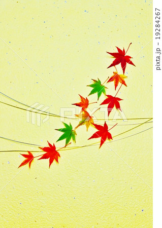 秋の背景素材 金銀水引とカラフルな紅葉の葉の流れるイメージ 金銀箔黄色系和紙バック縦位置の写真素材