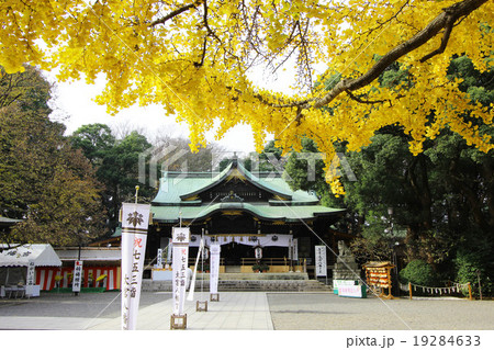 大宮八幡宮の紅葉 大宮八幡宮の紅葉 19284633
