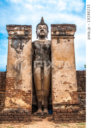 buddha 19286235
