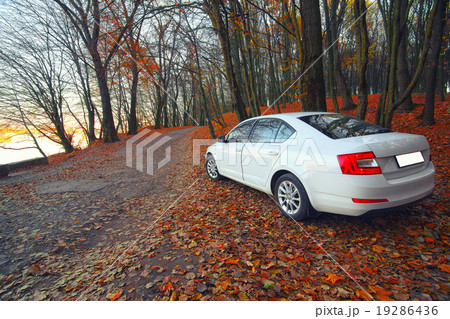 car on a forest path 19286436