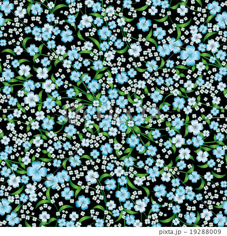 abstract floral ornament on black 19288009