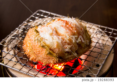 毛蟹 甲羅盛り 毛蟹 甲羅盛り 19288393