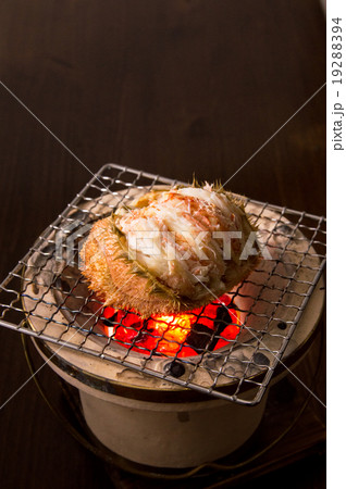 毛蟹 甲羅盛り 毛蟹 甲羅盛り 19288394