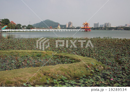 台湾　高雄　蓮池潭 19289534
