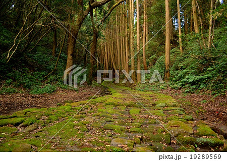 国指定史跡「龍門司坂（たつもんじざか）」（鹿児島県姶良市加治木町） 19289569