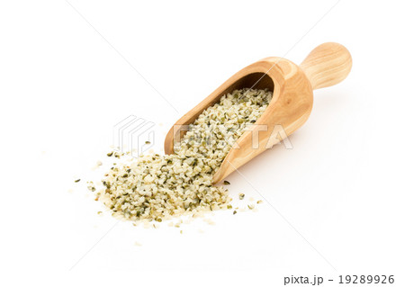 ヘンプシード(麻の実):Hemp Seed ヘンプシード(麻の実):Hemp Seed 19289926