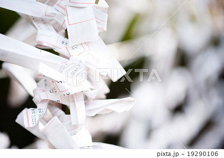 おみくじ 19290106