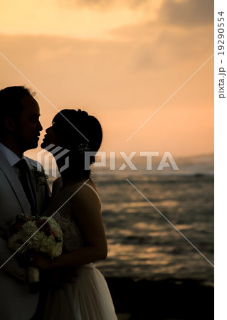 【シルエット】見つめ合う新婚夫婦 【シルエット】見つめ合う新婚夫婦 19290554