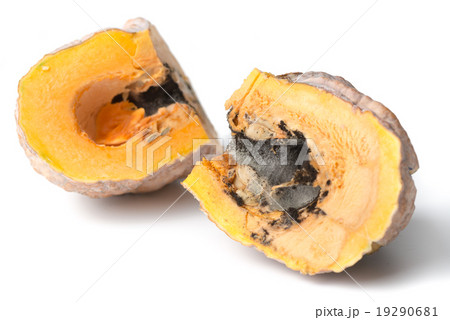 black fungi in sliced pumpkin isolated 19290681