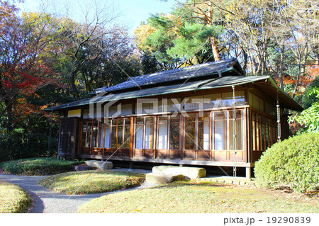 明治神宮御苑の紅葉 19290839