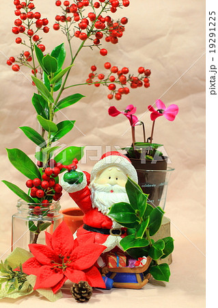 クリスマスと赤い実とシクラメンの写真素材