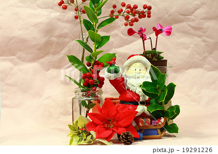 クリスマスと赤い実とシクラメンの写真素材