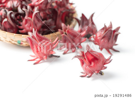 roselle fruit isolated 19291486