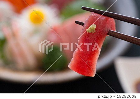 マグロの赤身 19292008