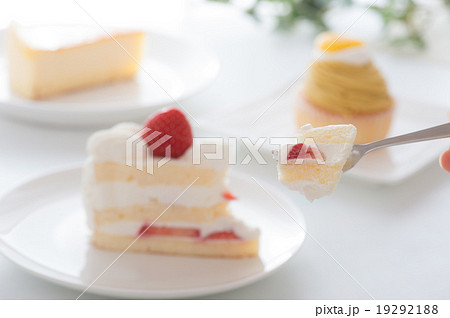 ケーキ・スイーツ 19292188