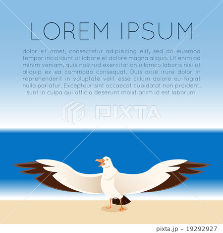 Albatross by the sea 19292927